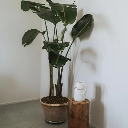 Masseria Mo' Bed & Breakfast Galatina